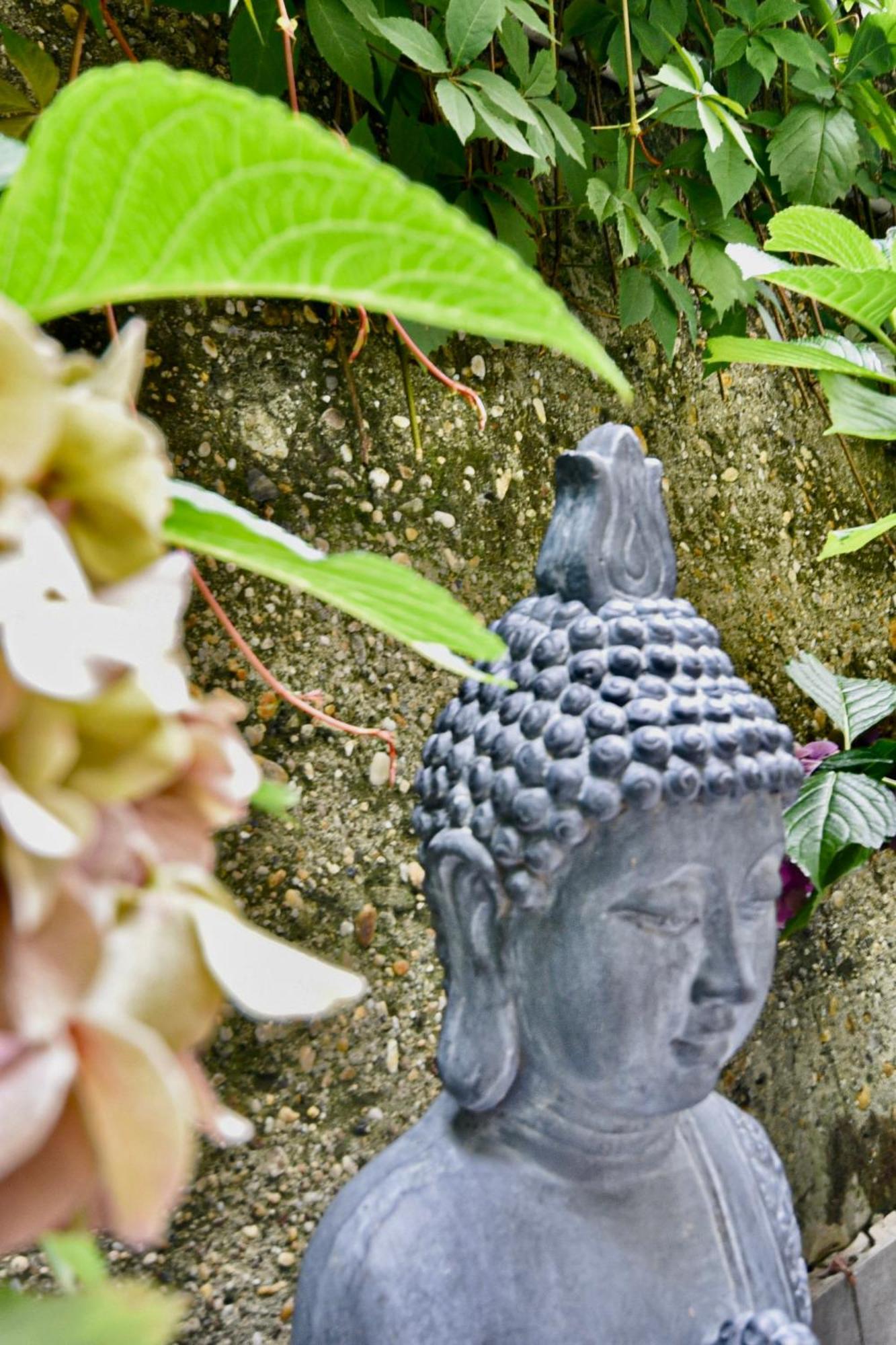 בודפשט Buda Bliss Garden מראה חיצוני תמונה